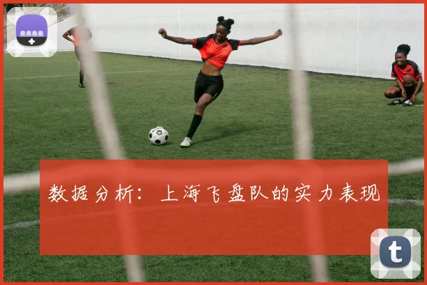 数据分析：上海飞盘队的实力表现