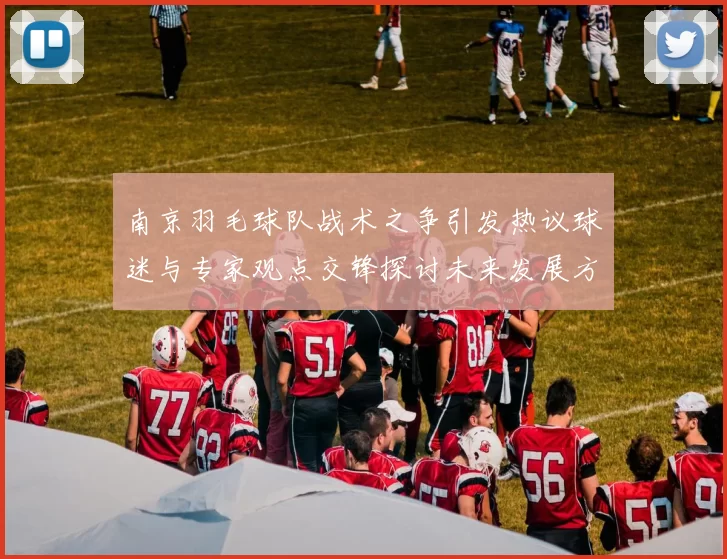 南京羽毛球队战术之争引发热议球迷与专家观点交锋探讨未来发展方向