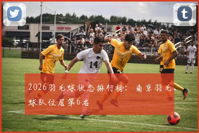 2026羽毛球状态排行榜：南京羽毛球队位居第6名