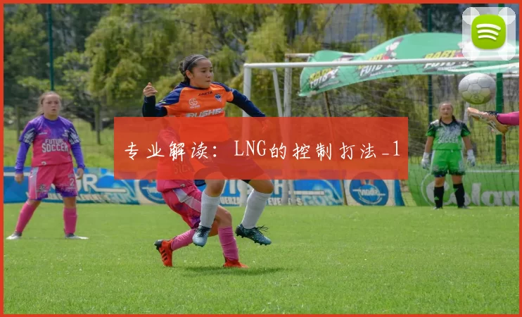 专业解读：LNG的控制打法_1