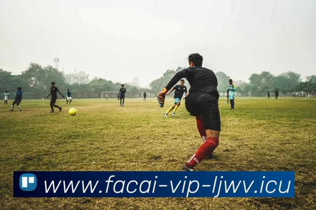 乐竞体育品牌故事